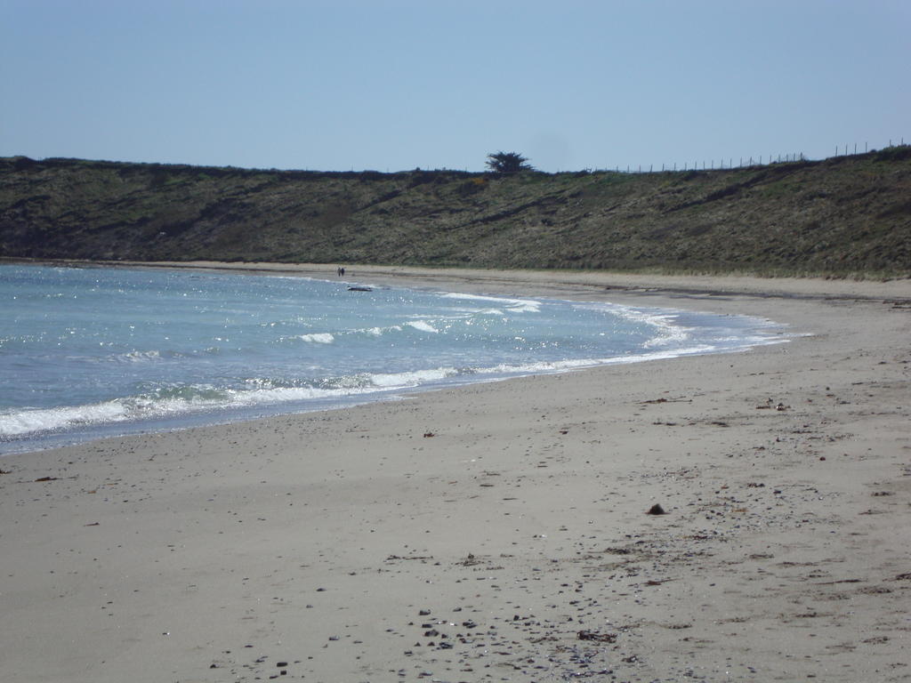 Clifford House B & B Rosslare Harbour Buitenkant foto